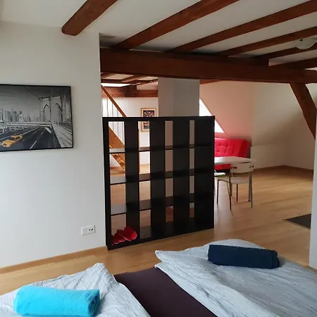 With Rooftop Garden Apartment Zurich