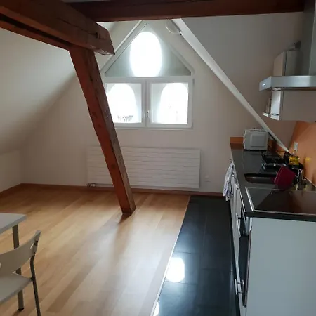 Apartment With Rooftop Garden *