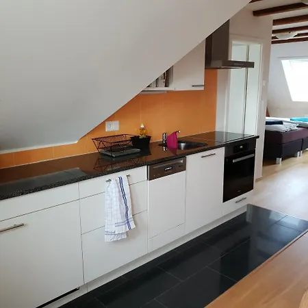 Apartment With Rooftop Garden Zurich