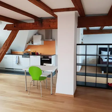 Apartment With Rooftop Garden Zurich